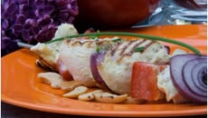 Brochettes de poulet aux poivrons