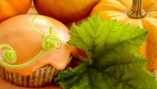 Muffins au potiron et aux noix