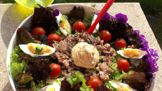 Salade Champagne Ardennes