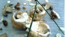 Roulés de Sole au noilly et Tielle ! Pour 2