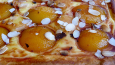 Tarte briochée aux abricots maison