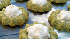 Mini Saint-Honorés courgette crème chèvre frais
