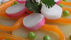 Bayadere de cantaloup, radis, carottes, pois gourmands