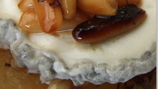 Douceur Sainte-Maure et poire...