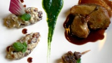 Pigeon rôti et son jus réduit au cassis, fricassée de blettes aux noisettes