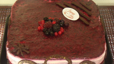 Bavarois chocolat blanc / mûres sur sa génoise choco