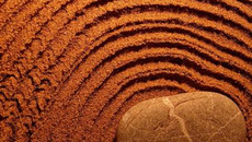 Petit gâteau à vos goûts