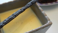 Crème anglaise succulente