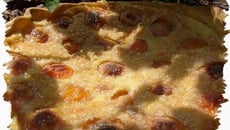 Tarte mousseuse aux abricots