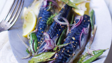 Recette des maquereaux grillés aux herbes