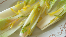 Endives verte à la fourme d'Ambert, salade