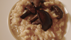 Risotto aux champignons des bois