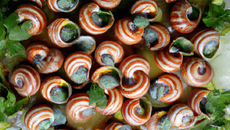 Escargots Vallée d'Auge à la coque