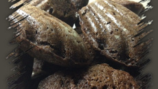 Madeleines très chocolat
