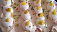 Pêches du Pécheur ( Pêches au thon, mayonnaise, œufs)