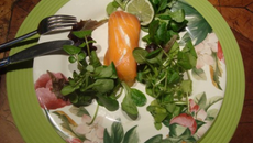 Roulade de saumon au pamplemousse, citron vert et au chèvre,