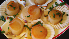 Coquilles St Jacques sautées