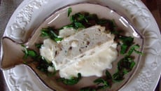 Terrines de Saint-Jacques