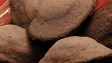 Madeleines au chocolat faciles