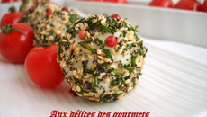 Boulettes de chèvre et tomates cerises