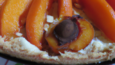 Tarte à l'abricot et marrons