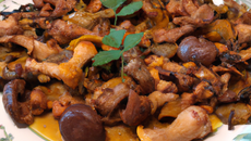 Paupiettes de dinde aux girolles