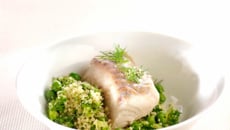 Merlu en compagnie verte