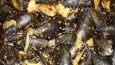 Moules farcies au pain