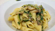 Penne, courgettes et champignons