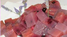 Cubes de fraîcheur de fleurs