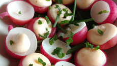 Radis farcis au fromage frais