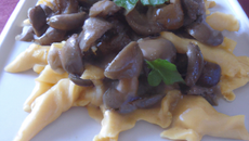 Pâtes complètes aux pleurotes