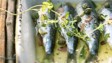 Poissons en marinade minute