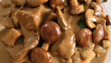 Escalopes de veau sauce Madère Cruz & girolles