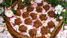 Roses des sables pour enfant