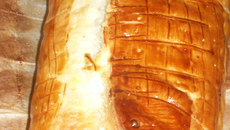 Saumon en croûte au poireaux et beurre d'escargot