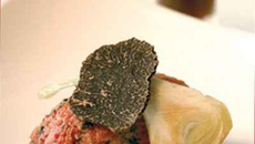 Tartare de bazadaise truffé, consommé chaud à la pomme de terre brûlée