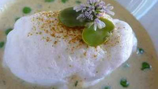 Île flottante primavera aux fèves et petits pois, parfums d'Orient