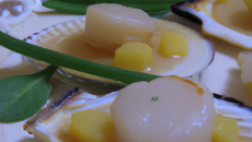 Mi-cuit de coquille saint-jacques, compotée de poireaux au Neufchâtel et à l'huile d'argan