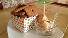 Glace aux spéculoos (au congélateur)
