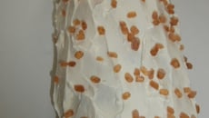 Bûche blanche de Noël à la crème de marrons