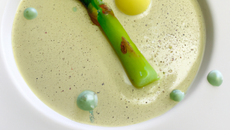 Bar de ligne, pulpe d'asperges vertes, emulsion citronelle
