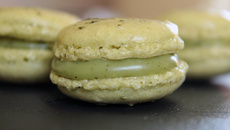 Macarons au thé vert matcha