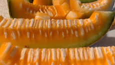 Cantalou