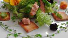 Le printemps dans l'assiette