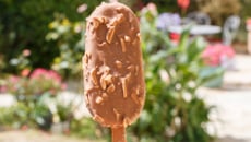 Bâtonnets healthy magnum de tiktok