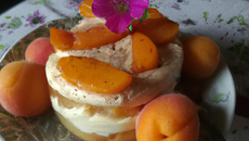 Le tiramitsu abricots-pêches et verveine.