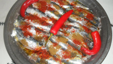 Sardine au four