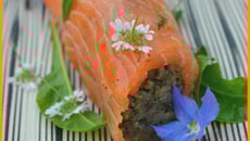 Cannelloni de saumon et lentilles vertes du Puy