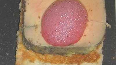 Foie gras et son air de cerise